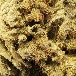 flower-bomb-kush-zoom